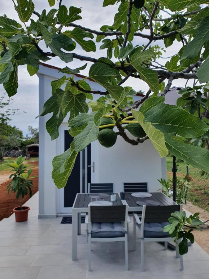 Holiday home Ceca*** *