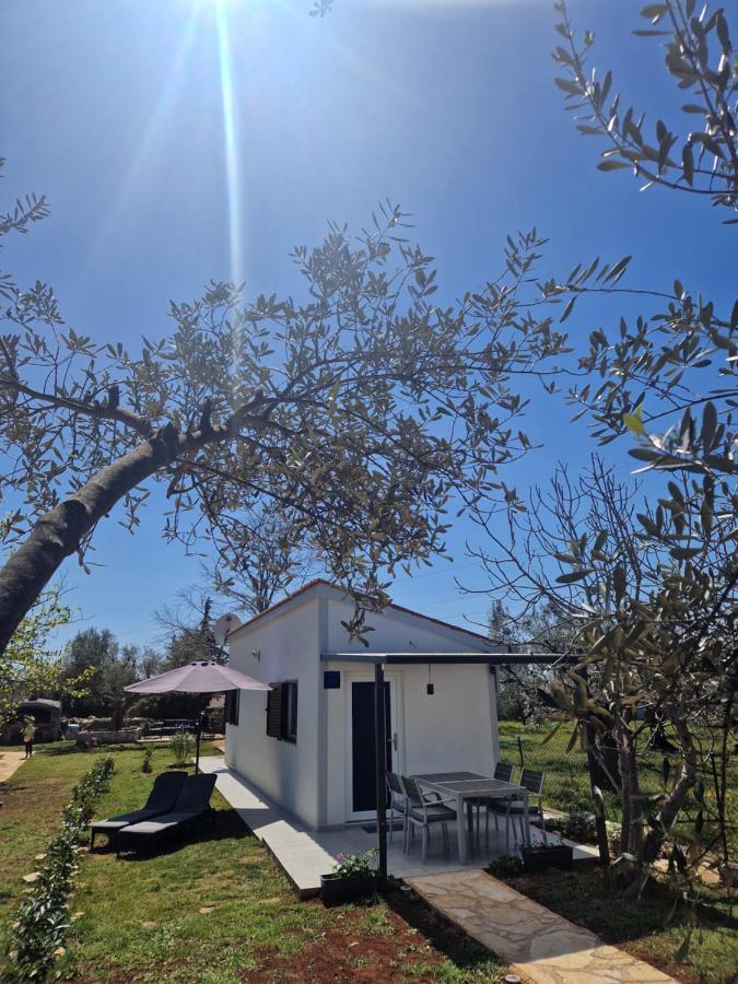Ceca*** Holiday home Fazana